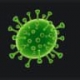 5+5: Coronavirus edition, by Josh Butler