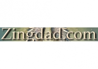 zingdad.com