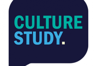 Culture Studies, by Anne Helen Petersen