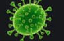 5+5: Coronavirus edition, by Josh Butler