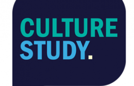 Culture Studies, by Anne Helen Petersen