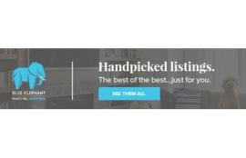 Handpicked Listings Newsletter by Blue Elephant Realty