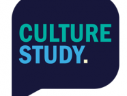 Culture Studies, by Anne Helen Petersen